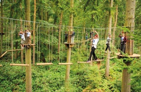 Several kids on a high ropes course high in the trees